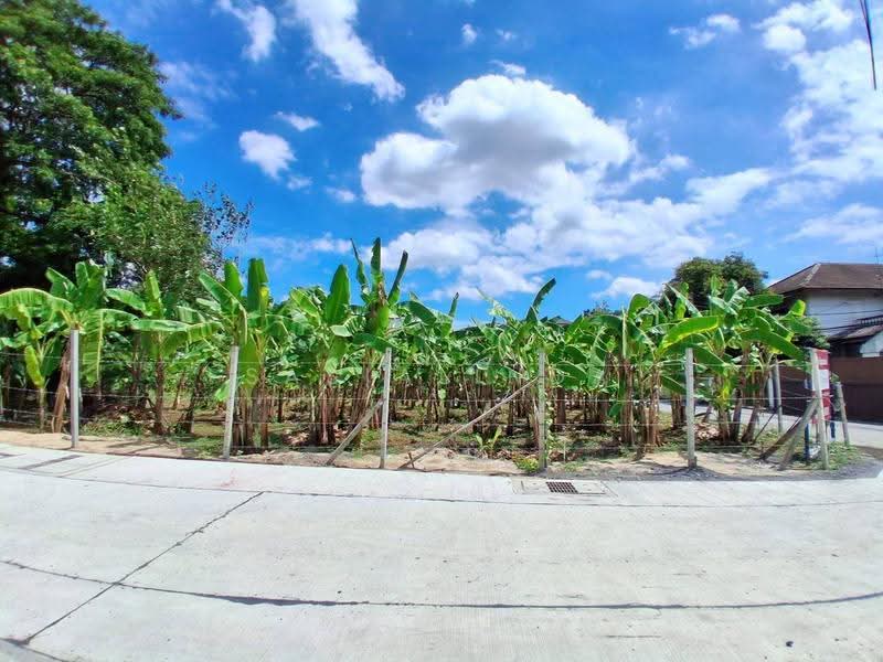 Land for sale 387 sqw, bangkok, Phra Kanong Nua, Watthana, Bangkok, , 1,548 sqm, Land For Sale, by Sasialinda (Muay), 500227897 - DDproperty.com