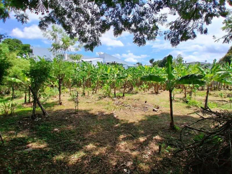 Land for Sale and Rent ขาย/เช่า ที่ดินทำเลดี สุขุมวิท-พระโขนง ซอยปรีดีพนมยงค์ 14, กรุงเทพ, พระโขนงเหนือ, วัฒนา, กรุงเทพ, 1,548 ตร.ม., ที่ดิน ขาย, โดย Sasialinda (Muay), 500227897 - DDproperty.com