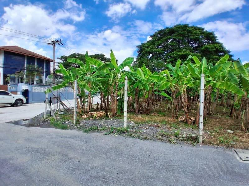 Land for sale 387 sqw, bangkok, Phra Kanong Nua, Watthana, Bangkok, , 1,548 sqm, Land For Sale, by Sasialinda (Muay), 500227897 - DDproperty.com