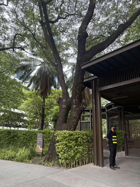 ให้เช่า - The Line Phahonyothin Park : เดอะ ไลน์ พหลโยธิน พาร์ค, กรุงเทพ