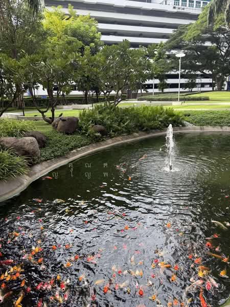 ให้เช่า - The Line Phahonyothin Park : เดอะ ไลน์ พหลโยธิน พาร์ค, กรุงเทพ