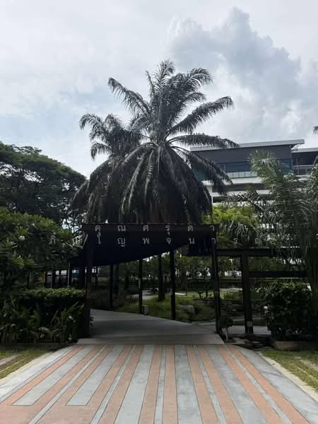 ให้เช่า - The Line Phahonyothin Park : เดอะ ไลน์ พหลโยธิน พาร์ค, กรุงเทพ