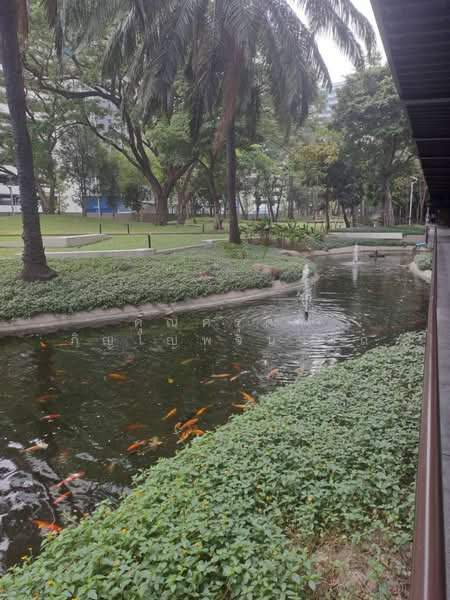 ให้เช่า - The Line Phahonyothin Park : เดอะ ไลน์ พหลโยธิน พาร์ค, กรุงเทพ