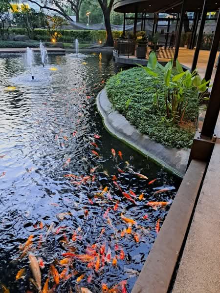 The Line Phahonyothin Park, Bangkok, 1090 Phahonyothin Road, Jom Phon, Chatuchak, Bangkok, 1 Bedroom, 66 sqm, Condo For Rent, by คุณศรุดา ภิญโญพจนารถ, 500228040 - DDproperty.com