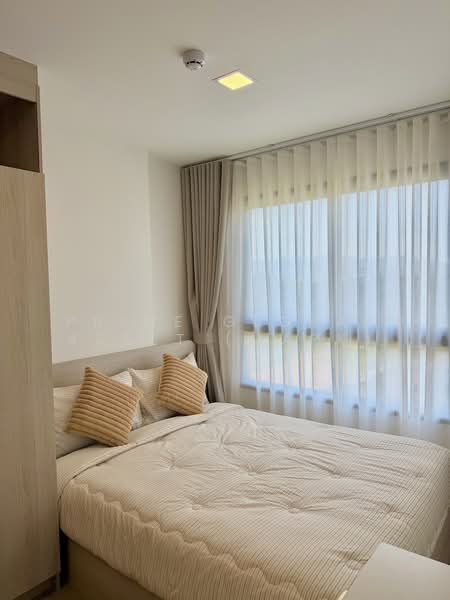 The Base Bukit Phuket : เดอะ เบส บูกิต, ภูเก็ต, 12 ถ.วิชิตสงคราม, วิชิต, เมืองภูเก็ต, ภูเก็ต, 25 ตร.ม., คอนโด ให้เช่า, โดย Prime Global Asset (Mark), 500228084 - DDproperty.com