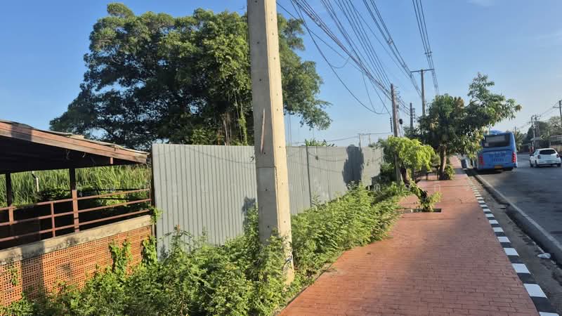 ให้เช่า - ให้เช่าที่ดิน ติดถนนปทุมธานีสายใน ต.บ้านฉาง อ.เมืองปทุมธานี จ.ปทุมธานี, ปทุมธานี