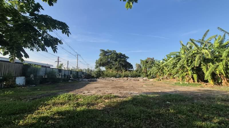 ให้เช่าที่ดิน ติดถนนปทุมธานีสายใน ต.บางปรอก อ.เมืองปทุมธานี จ.ปทุมธานี, ปทุมธานี, บ้านฉาง, เมืองปทุมธานี, ปทุมธานี, 1,800 ตร.ม., พื้นที่ขายของ ให้เช่า, โดย คุณณัฐชา ตรงต่อกิจ, 500228085 - DDproperty.com