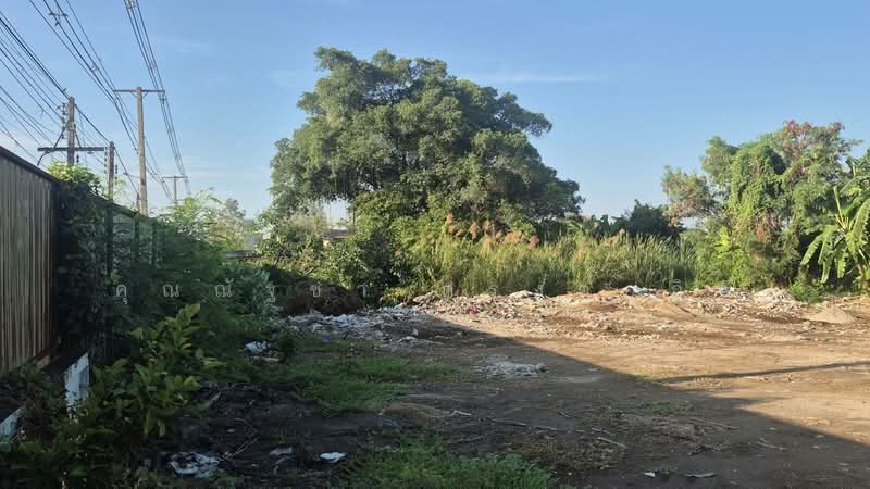 ให้เช่าที่ดิน ติดถนนปทุมธานีสายใน ต.บางปรอก อ.เมืองปทุมธานี จ.ปทุมธานี, ปทุมธานี, บ้านฉาง, เมืองปทุมธานี, ปทุมธานี, 1,800 ตร.ม., พื้นที่ขายของ ให้เช่า, โดย คุณณัฐชา ตรงต่อกิจ, 500228085 - DDproperty.com