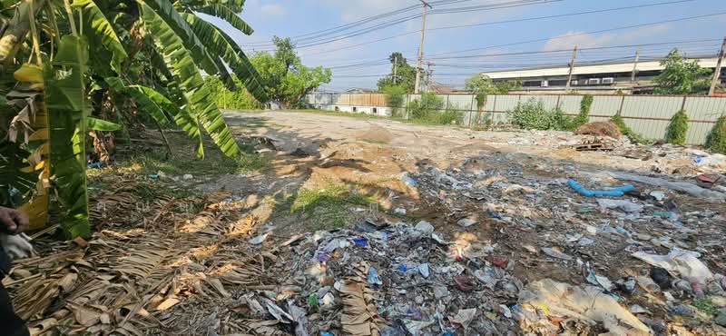 ให้เช่าที่ดิน ติดถนนปทุมธานีสายใน ต.บางปรอก อ.เมืองปทุมธานี จ.ปทุมธานี, ปทุมธานี, บ้านฉาง, เมืองปทุมธานี, ปทุมธานี, 1,800 ตร.ม., พื้นที่ขายของ ให้เช่า, โดย คุณณัฐชา ตรงต่อกิจ, 500228085 - DDproperty.com