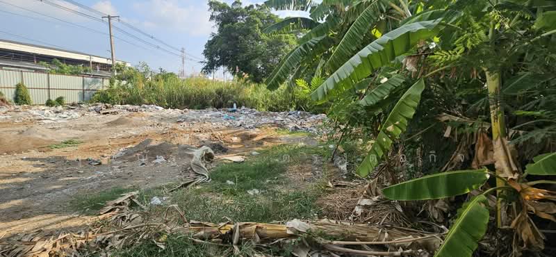 ให้เช่าที่ดิน ติดถนนปทุมธานีสายใน ต.บางปรอก อ.เมืองปทุมธานี จ.ปทุมธานี, ปทุมธานี, บ้านฉาง, เมืองปทุมธานี, ปทุมธานี, 1,800 ตร.ม., พื้นที่ขายของ ให้เช่า, โดย คุณณัฐชา ตรงต่อกิจ, 500228085 - DDproperty.com