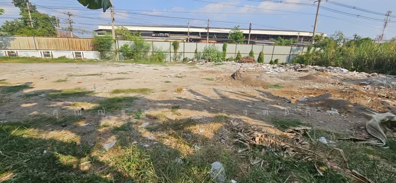 ให้เช่าที่ดิน ติดถนนปทุมธานีสายใน ต.บางปรอก อ.เมืองปทุมธานี จ.ปทุมธานี, Pathum Thani, Ban Zhang, Muang Pathum Thani, Pathum Thani, , 1,800 sqm, Retail Space For Rent, by คุณณัฐชา ตรงต่อกิจ, 500228085 - DDproperty.com