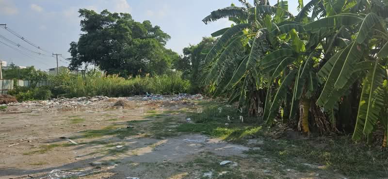 Land for rent, located on Pathum Thani Inner Road, Ban Chang Subdistrict, Mueang Pathum Thani Distri, Pathum Thani, Ban Zhang, Muang Pathum Thani, Pathum Thani, , 1,800 sqm, Retail Space For Rent, by คุณณัฐชา ตรงต่อกิจ, 500228085 - DDproperty.com