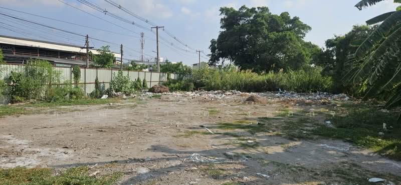 ให้เช่าที่ดิน ติดถนนปทุมธานีสายใน ต.บางปรอก อ.เมืองปทุมธานี จ.ปทุมธานี, Pathum Thani, Ban Zhang, Muang Pathum Thani, Pathum Thani, , 1,800 sqm, Retail Space For Rent, by คุณณัฐชา ตรงต่อกิจ, 500228085 - DDproperty.com