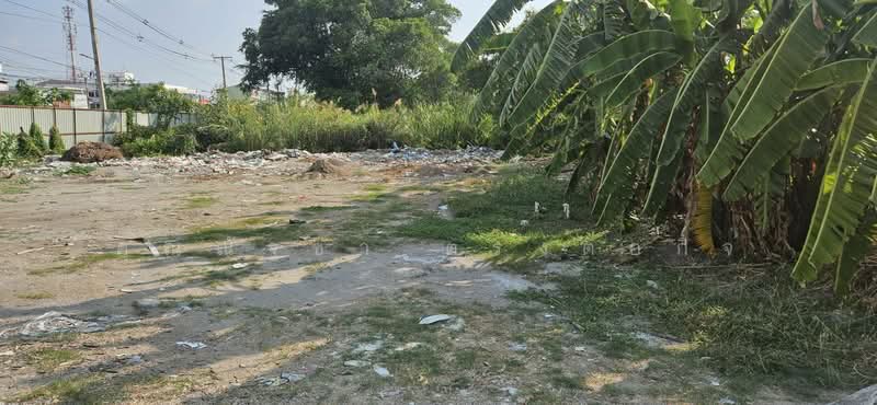 ให้เช่าที่ดิน ติดถนนปทุมธานีสายใน ต.บางปรอก อ.เมืองปทุมธานี จ.ปทุมธานี, Pathum Thani, Ban Zhang, Muang Pathum Thani, Pathum Thani, , 1,800 sqm, Retail Space For Rent, by คุณณัฐชา ตรงต่อกิจ, 500228085 - DDproperty.com