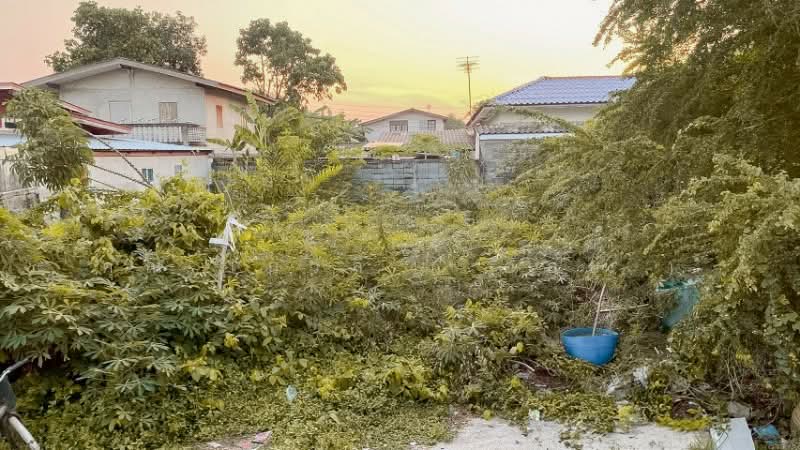 ที่ดินเปล่า 49.3 ตารางวา รามอินทรา 5 แยก 93 ทำเลดี ราคาถูก, กรุงเทพ, รามอินทรา 5, ท่าแร้ง, บางเขน, กรุงเทพ, 196 ตร.ม., ที่ดิน ขาย, โดย คุณ เกวลี ( ออย ), 500228102 - DDproperty.com