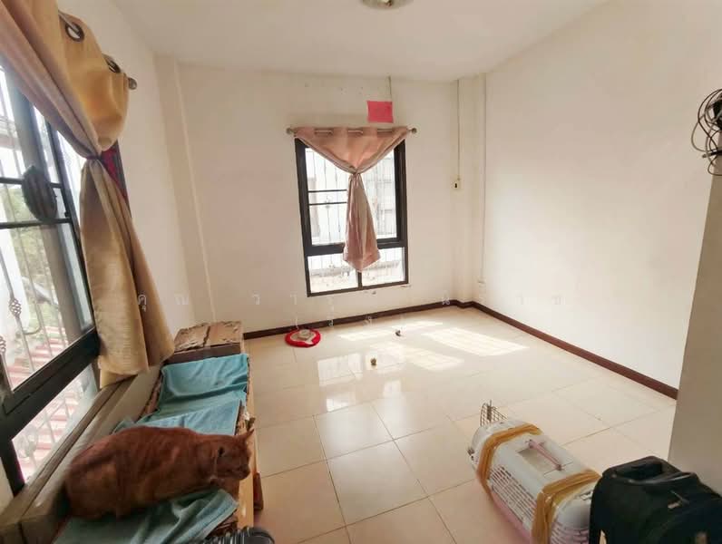 บ้านเดี่ยว 2 ชั้น 50 ตร.ว. บ้านเดี่ยว ใกล้ตลาดเวิลด์มาร์เก็ต ซอยสินพัฒนาธานี1/13 ถนนเพชรเกษม, กรุงเทพ, ถนนเพชรเกษม, ทวีวัฒนา, ทวีวัฒนา, กรุงเทพ, 200 ตร.ม., บ้านเดี่ยว ขาย, โดย คุณ วารุณี นิราช (รุ้ง), 500228158 - DDproperty.com