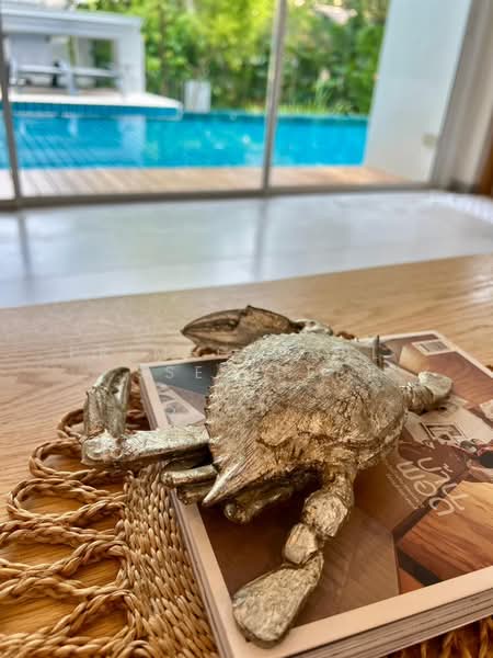 บ้านเดี่ยว, Phuket, Chalong, Muang Phuket, Phuket, 3 Bedrooms, 150 sqm, Villa For Rent, by primeglobalasset bee, 500228177 - DDproperty.com