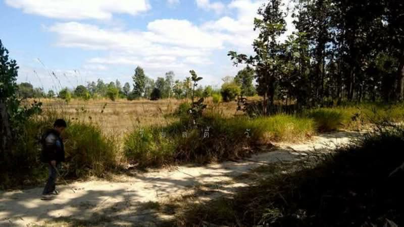 ขาย - ขาย ที่ดินเปล่า ห่างจาก ถนนทางหลวง 212 ต. มุกดาหาร อ. เมือง จ. มุกดาหาร, มุกดาหาร