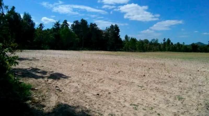 ขาย - ขาย ที่ดินเปล่า ห่างจาก ถนนทางหลวง 212 ต. มุกดาหาร อ. เมือง จ. มุกดาหาร, มุกดาหาร