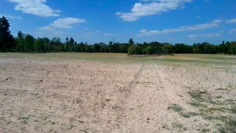 ขาย - ขาย ที่ดินเปล่า ห่างจาก ถนนทางหลวง 212 ต. มุกดาหาร อ. เมือง จ. มุกดาหาร, มุกดาหาร