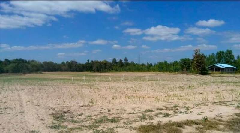 ขาย - ขาย ที่ดินเปล่า ห่างจาก ถนนทางหลวง 212 ต. มุกดาหาร อ. เมือง จ. มุกดาหาร, มุกดาหาร