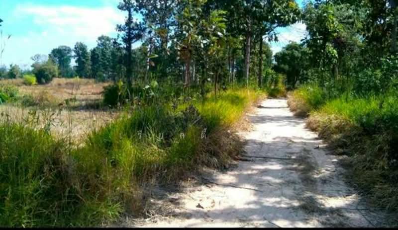 ขาย ที่ดินเปล่า ห่างจาก ถนนทางหลวง 212 ต. มุกดาหาร อ. เมือง จ. มุกดาหาร, Mukdahan, Mukdahan, Muang Muddahan, Mukdahan, , 45,440 sqm, Land For Sale, by เรียลตี้ วัน, 500228337 - DDproperty.com