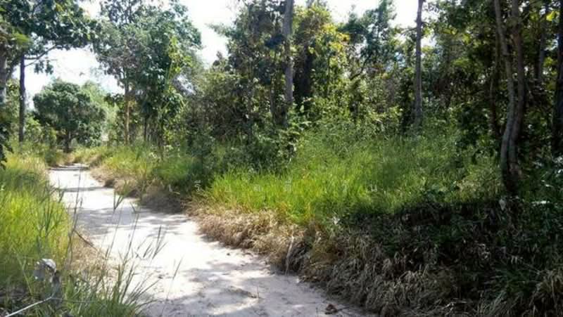 ขาย ที่ดินเปล่า ห่างจาก ถนนทางหลวง 212 ต. มุกดาหาร อ. เมือง จ. มุกดาหาร, Mukdahan, Mukdahan, Muang Muddahan, Mukdahan, , 45,440 sqm, Land For Sale, by เรียลตี้ วัน, 500228337 - DDproperty.com