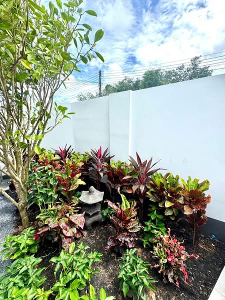 บ้านเดี่ยว, Phuket, Thep Krasattri, Thalang, Phuket, 3 Bedrooms, 120 sqm, Villa For Rent, by primeglobalasset bee, 500228349 - DDproperty.com