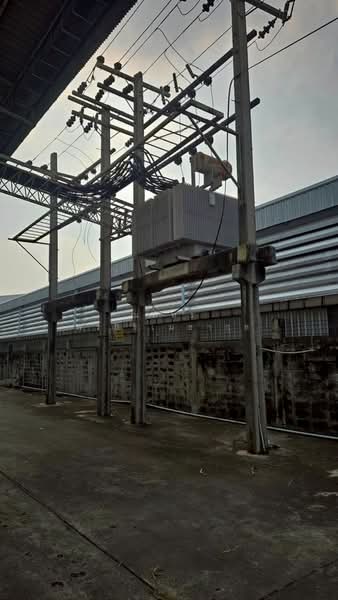 ขาย - บางโฉลง, สมุทรปราการ