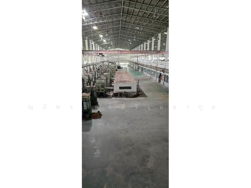 ขาย - บางโฉลง, สมุทรปราการ