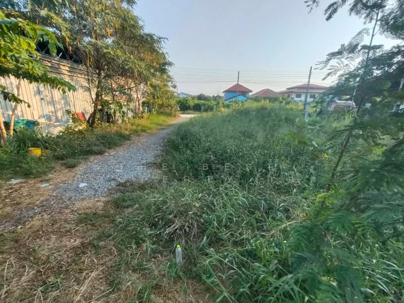 เมืองเอกบางปู สมุทรปราการ, สมุทรปราการ, บางปู, เมืองสมุทรปราการ, สมุทรปราการ, 244 ตร.ม., ที่ดิน ขาย, โดย The Best Property ก๊อต, 500228425 - DDproperty.com