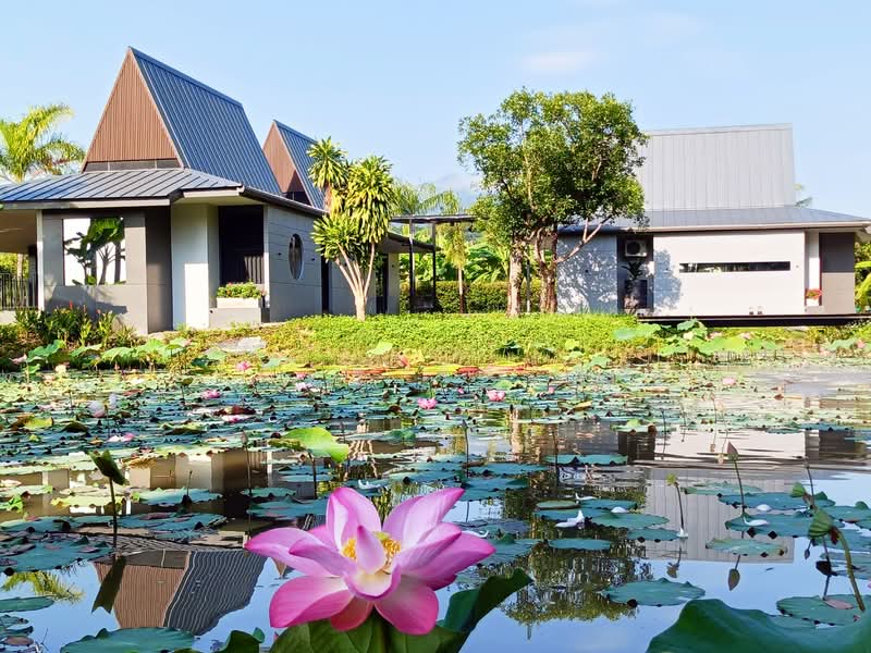 Chombua 2 MaeWang ชมบัว, Chiang Mai, Tung Pi, Mae Wang, Chiang Mai, 2 Bedrooms, 200 sqm, Single Detached House For Rent, by Wisit Jivakul, 500228432 - DDproperty.com