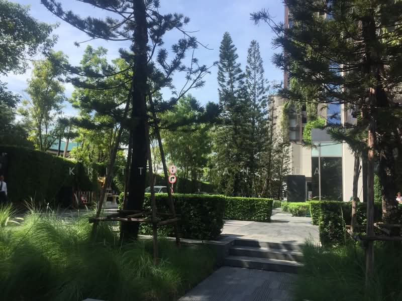 ASHTON Morph 38, Bangkok, 88 Soi Sukhumvit 38, Phra Kanong, Khlong Toei, Bangkok, 2 Bedrooms, 55 sqm, Condo For Rent, by Krittin Tansida, 500228449 - DDproperty.com