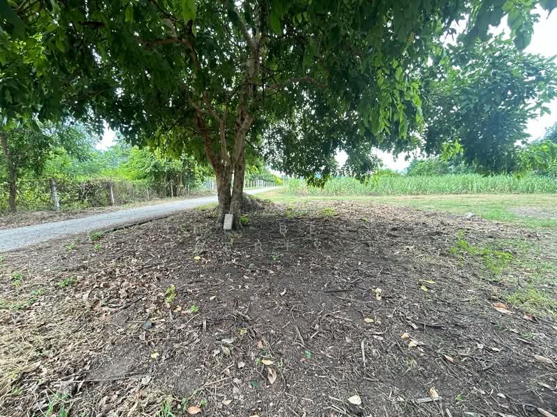 ที่ดินบ้านโป่ง ราชบุรี, Ratchaburi, Khao Khlung, Ban Pong, Ratchaburi, , 10,788 sqm, Land For Sale, by The Best Property แอม, 500228480 - DDproperty.com