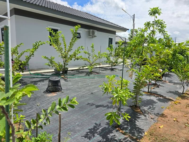 เอ็ม วิลเลจ (M Village), ชลบุรี, Bo Win, Si Racha, บ่อวิน, ศรีราชา, ชลบุรี, 100 ตร.ม., ทาวน์เฮ้าส์ ขาย, โดย The Best Property Agent นิว, 500228653 - DDproperty.com