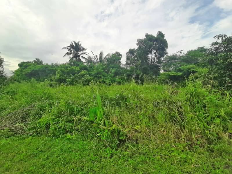 ขาย - ที่ดินหนองจอก กรุงเทพมหานคร, กรุงเทพ