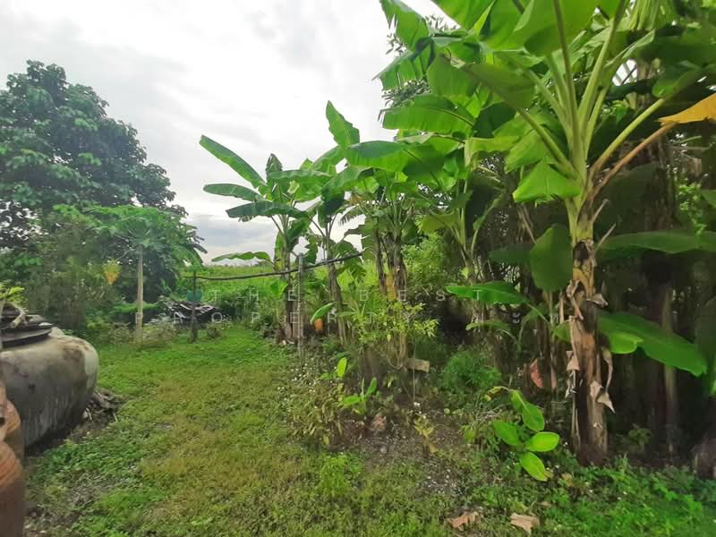 ขาย - ที่ดินหนองจอก กรุงเทพมหานคร, กรุงเทพ