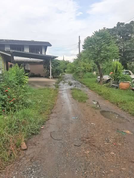 For Sale - ที่ดินหนองจอก กรุงเทพมหานคร, Bangkok