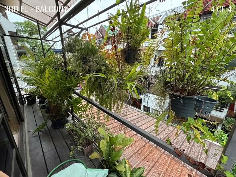 ขายทาวน์โฮม 4 ชั้น สุขุมวิท 31 ใจกลางเมือง ใกล้ BTS พร้อมพงษ์ | บ้านหรูทำเลทอง, กรุงเทพ, สุขุมวิท, คลองเตยเหนือ, วัฒนา, กรุงเทพ, 400 ตร.ม., ทาวน์เฮ้าส์ ขาย, โดย ธนัท ชื่นเจริญสุข, 500228679 - DDproperty.com