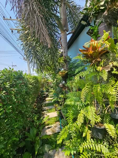 Prapassorn Ville Amata Nakorn : ประภัสสร วิลล์ อมตะนคร, ชลบุรี, ถนน ศุขประยูร, นาป่า, เมืองชลบุรี, ชลบุรี, 92 ตร.ม., บ้านเดี่ยว ขาย, โดย The Best Property ส้ม, 500228687 - DDproperty.com