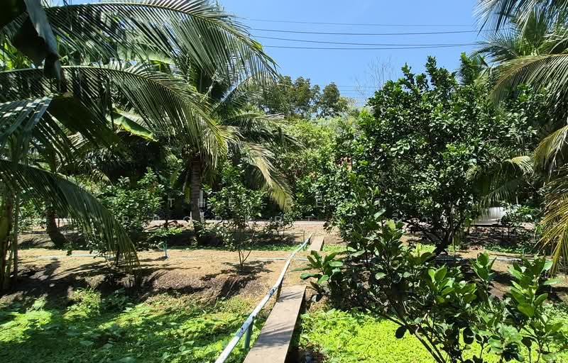 ที่ดินอัมพวา สมุทรสงคราม, Samut Songkhram, Bang Khae, Amphawa, Samut Songkhram, , 1,744 sqm, Land For Sale, by The Best Property อิ๋ว, 500228737 - DDproperty.com