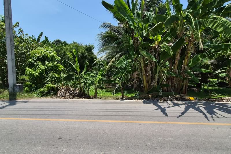 ที่ดินอัมพวา สมุทรสงคราม, Samut Songkhram, Bang Khae, Amphawa, Samut Songkhram, , 1,744 sqm, Land For Sale, by The Best Property อิ๋ว, 500228737 - DDproperty.com