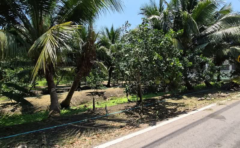 ที่ดินอัมพวา สมุทรสงคราม, Samut Songkhram, Bang Khae, Amphawa, Samut Songkhram, , 1,744 sqm, Land For Sale, by The Best Property อิ๋ว, 500228737 - DDproperty.com