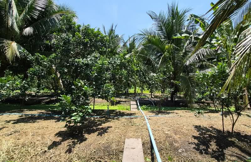 ที่ดินอัมพวา สมุทรสงคราม, Samut Songkhram, Bang Khae, Amphawa, Samut Songkhram, , 1,744 sqm, Land For Sale, by The Best Property อิ๋ว, 500228737 - DDproperty.com