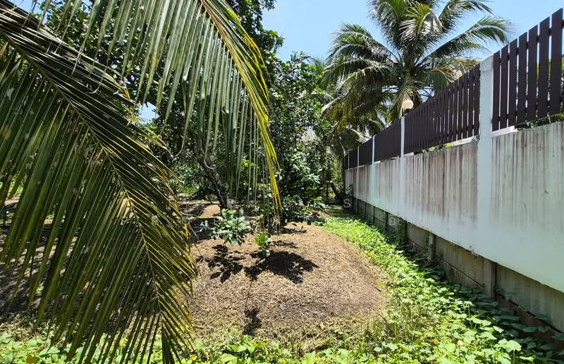 ที่ดินอัมพวา สมุทรสงคราม, Samut Songkhram, Bang Khae, Amphawa, Samut Songkhram, , 1,744 sqm, Land For Sale, by The Best Property อิ๋ว, 500228737 - DDproperty.com