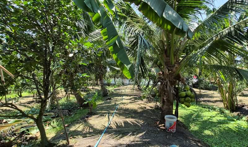 ที่ดินอัมพวา สมุทรสงคราม, Samut Songkhram, Bang Khae, Amphawa, Samut Songkhram, , 1,744 sqm, Land For Sale, by The Best Property อิ๋ว, 500228737 - DDproperty.com