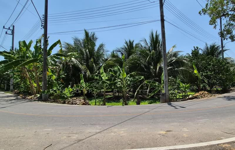 ที่ดินอัมพวา สมุทรสงคราม, Samut Songkhram, Bang Khae, Amphawa, Samut Songkhram, , 1,744 sqm, Land For Sale, by The Best Property อิ๋ว, 500228737 - DDproperty.com