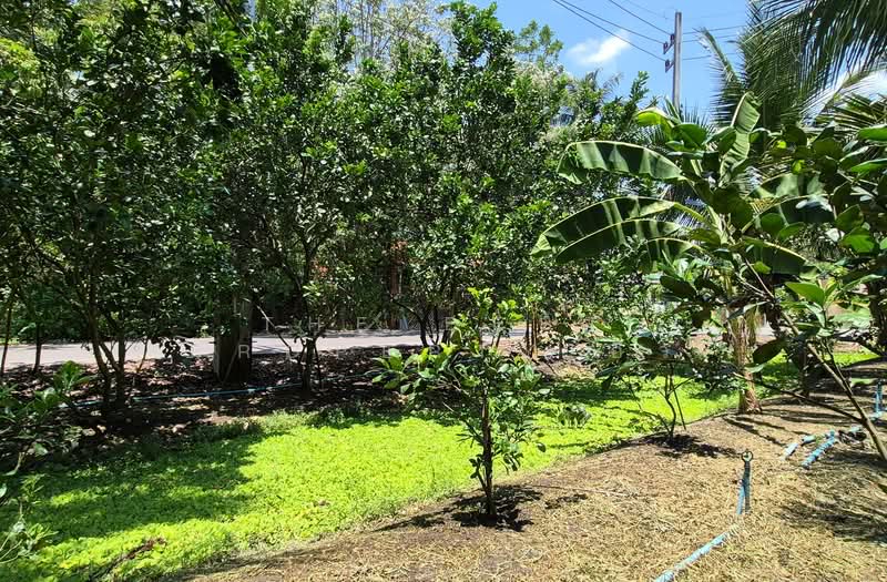 ที่ดินอัมพวา สมุทรสงคราม, Samut Songkhram, Bang Khae, Amphawa, Samut Songkhram, , 1,744 sqm, Land For Sale, by The Best Property อิ๋ว, 500228737 - DDproperty.com