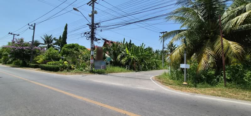 ที่ดินอัมพวา สมุทรสงคราม, Samut Songkhram, Bang Khae, Amphawa, Samut Songkhram, , 1,744 sqm, Land For Sale, by The Best Property อิ๋ว, 500228737 - DDproperty.com