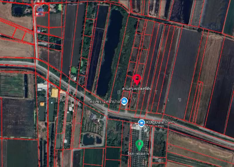 ที่ดินลาดบัวหลวง พระนครศรีอยุธยา, พระนครศรีอยุธยา, พระยาบันลือ, ลาดบัวหลวง, พระนครศรีอยุธยา, 1,600 ตร.ม., ที่ดิน ขาย, โดย The Best Property เซ, 500228744 - DDproperty.com